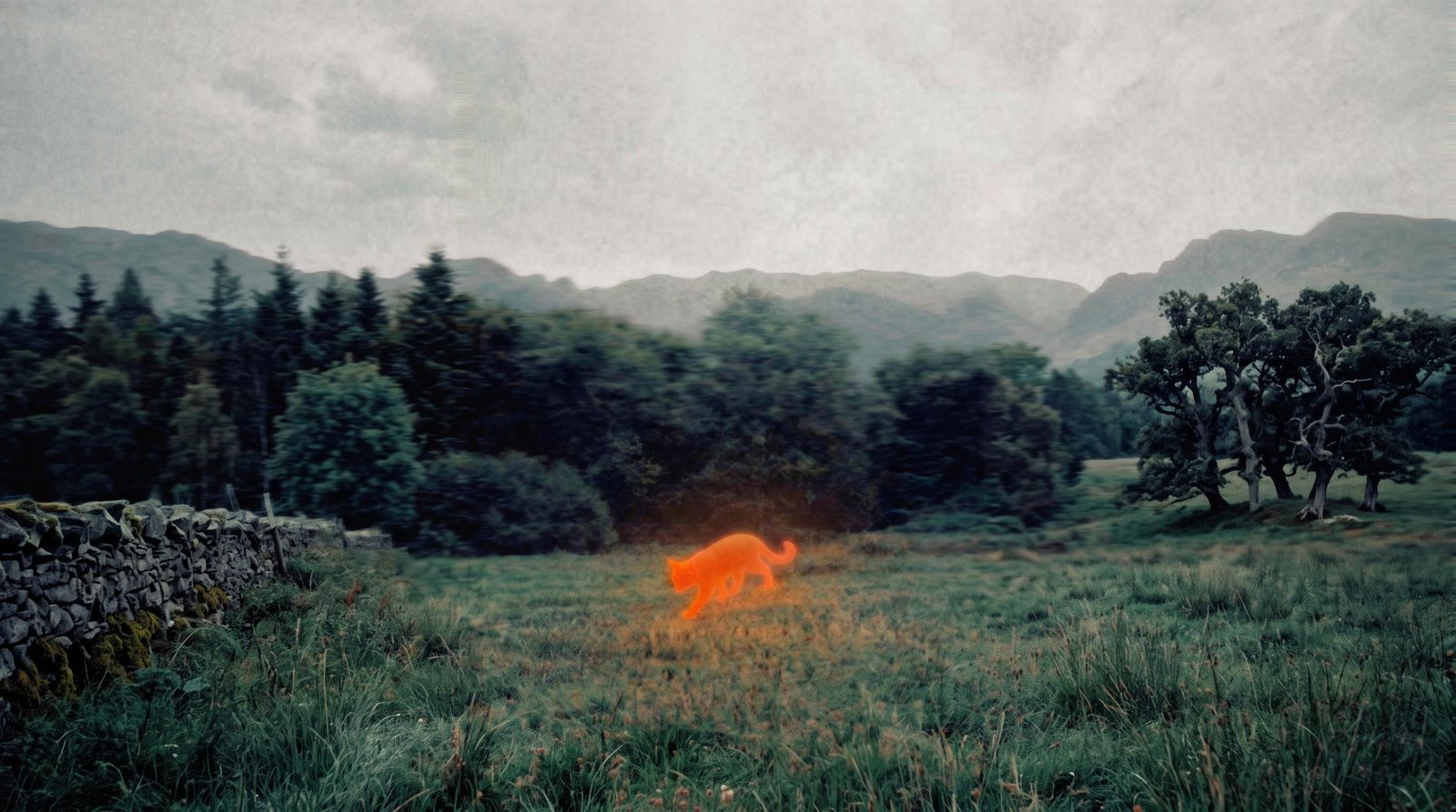 Atmospheric landscape concept with a glowing orange animal-like form in a field beneath misty wooded hills.