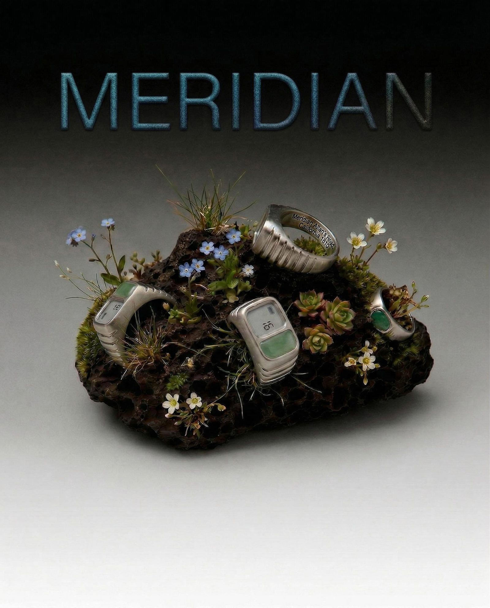 Surreal Meridian brand concept featuring a moss-covered sneaker garden with flowers and a small digital device.