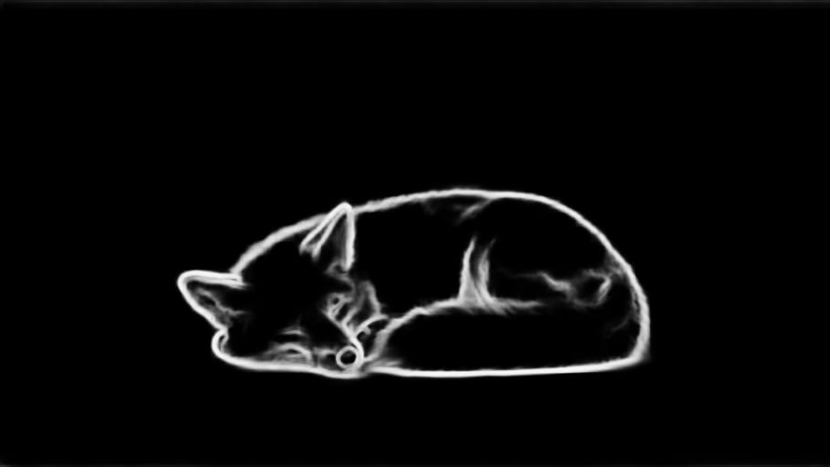 Actual HED soft-edge map following the curved body and tail of a sleeping fox.