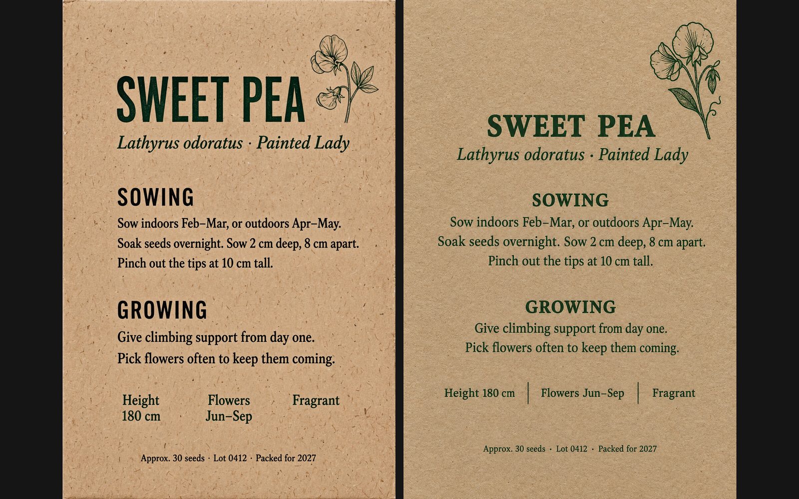 Sweet pea seed packet backs on kraft paper from Muse Image (left) and GPT Image 2.5 (right), with sowing notes and small print spelled correctly.