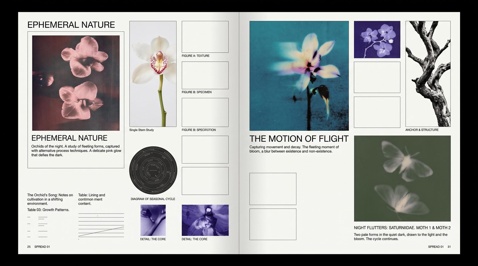 Editorial layout concept pairing botanical photographs with titles, captions and a structured grid.