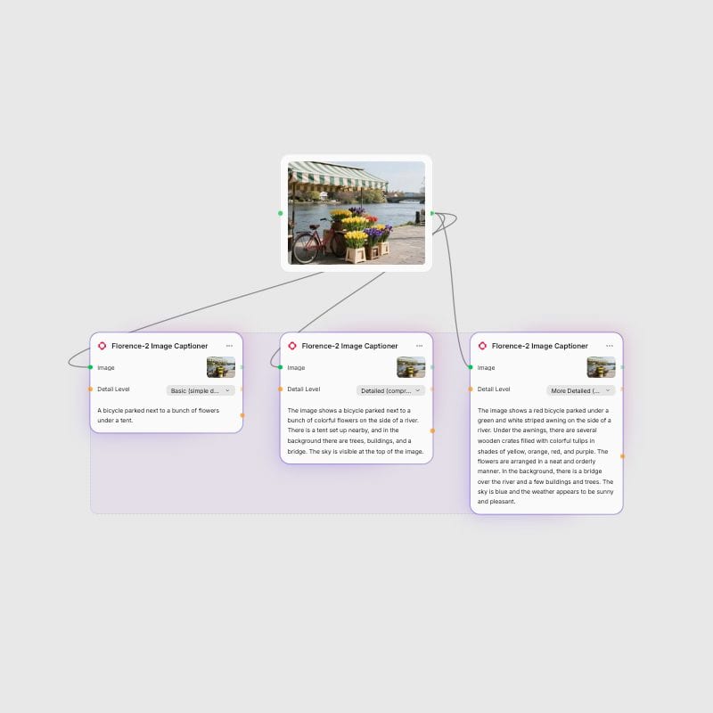 The same flower market input connected to Florence-2 Basic, Detailed and More Detailed caption outputs in Fuser.