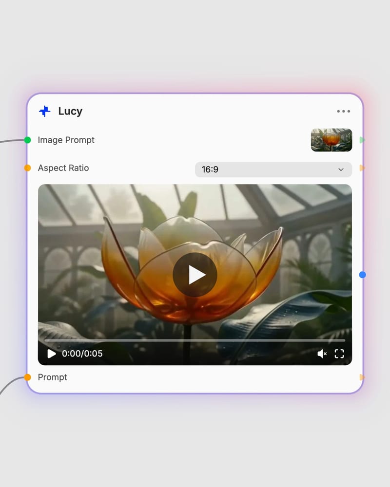 lucy workflow model and generated output