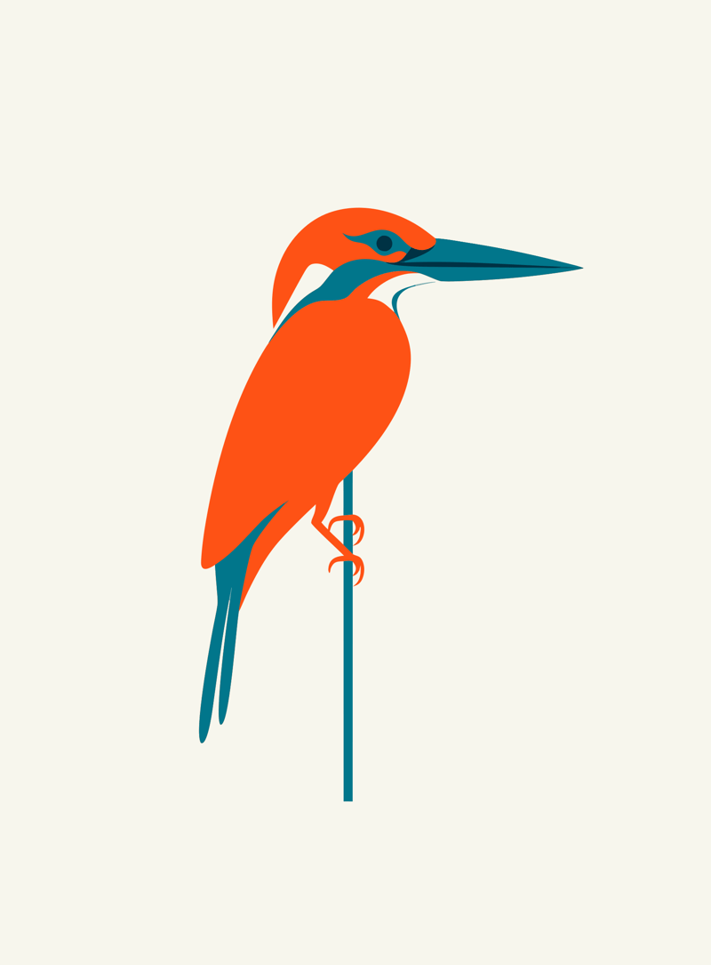 Preview of an original Recraft SVG showing a complete orange and teal kingfisher on a vertical reed.