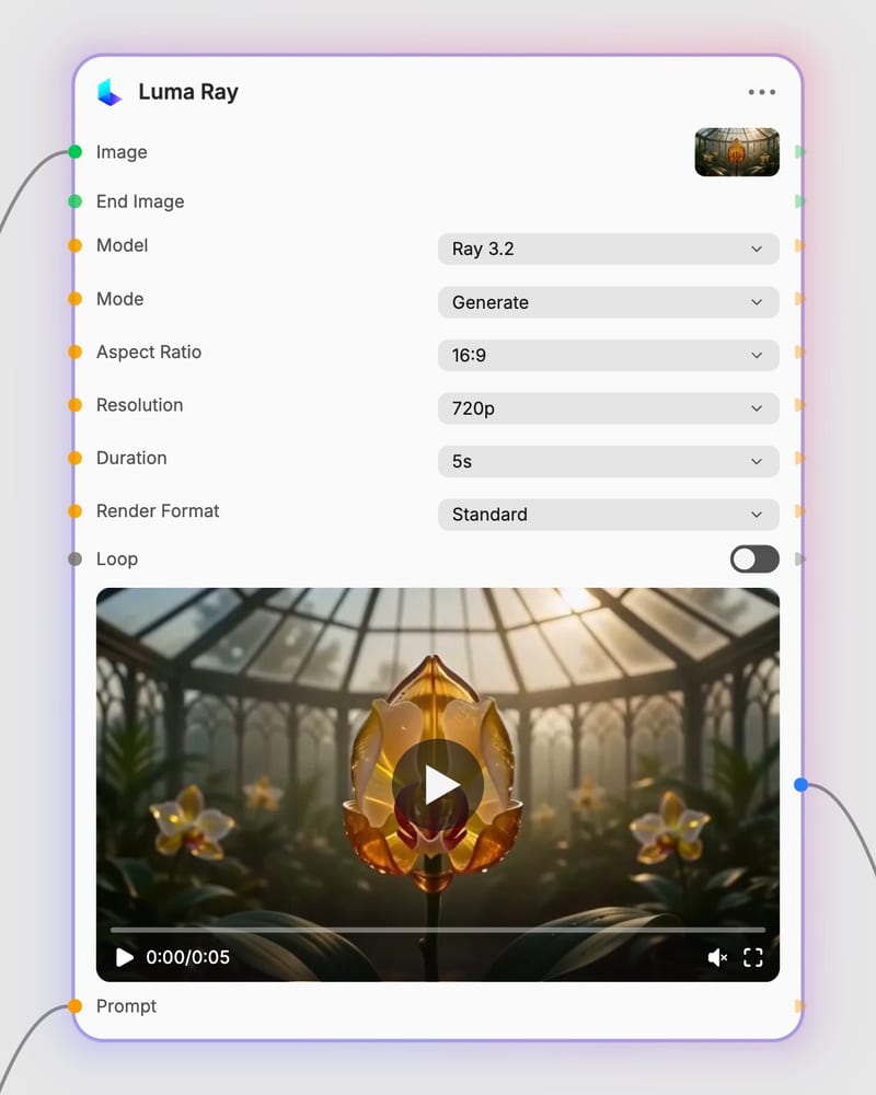 luma ray workflow model and generated output