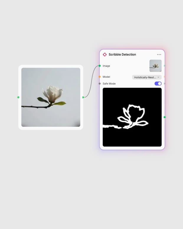 A magnolia photograph connected to Scribble Detection in Fuser, with its extracted contour map.
