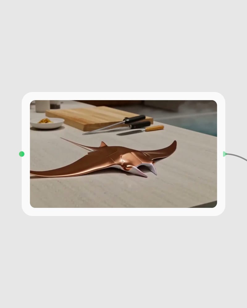 veo workflow input
