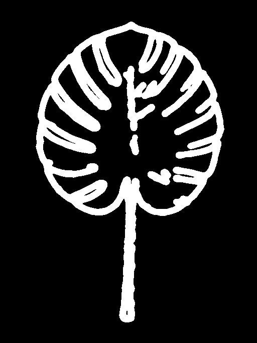 Actual HED Scribble Mode output tracing a monstera leaf with bold white strokes.