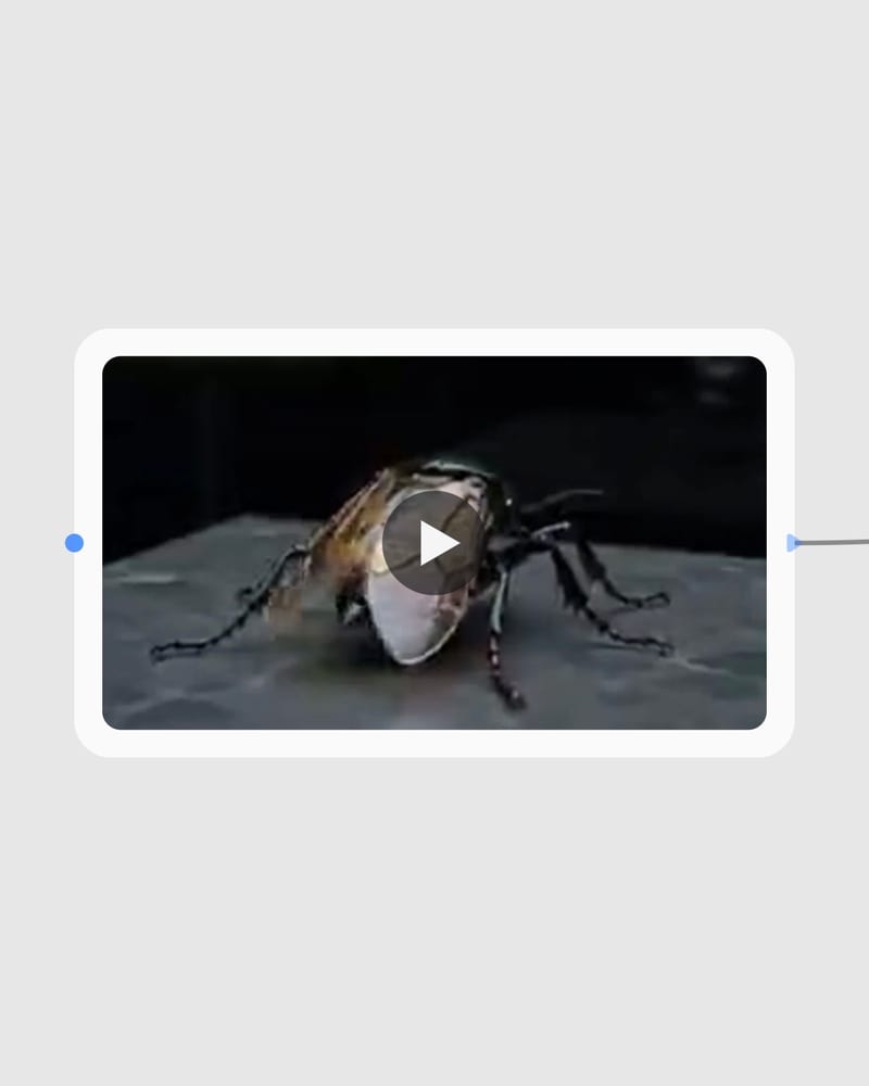 Low-resolution source video ready for Topaz Upscale.