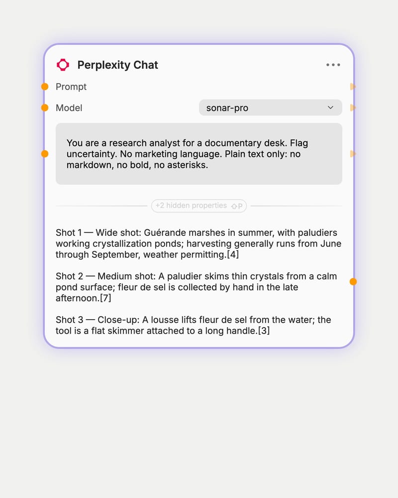 Perplexity Chat node set to sonar-pro with a documentary-desk system prompt, answering with a cited Guérande salt shot list